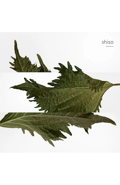 Hermes Terre D'hermès