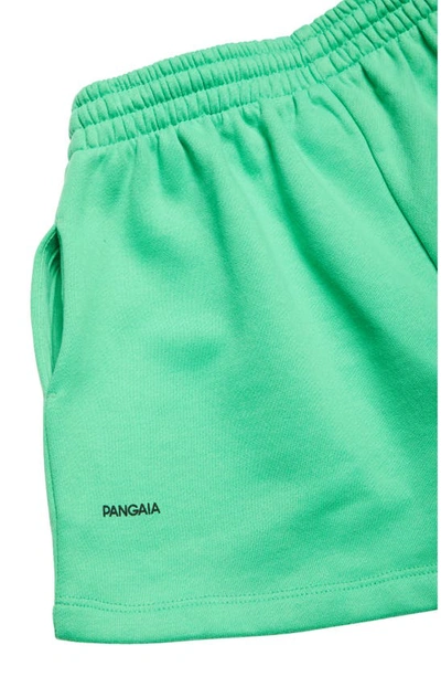 Shop Pangaia Kids' 365 Organic Cotton Shorts In Jade Green