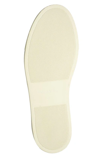 Shop Paisley & Gray Addington Wingtip Leather Sneaker In White