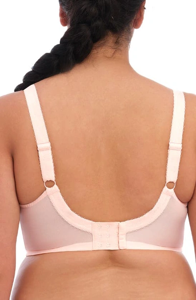 Elomi Charley Spacer T-shirt Bra In Ballet Pink
