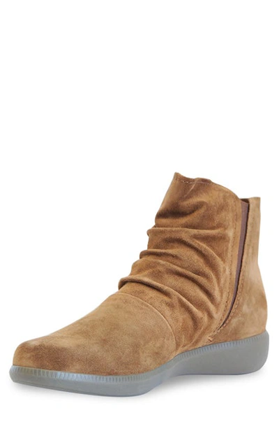 Shop Munro Scout Water Resistant Bootie In Tobacco Suede