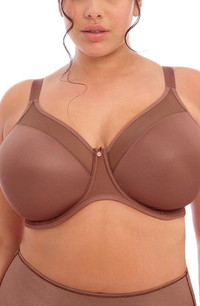 Shop Elomi Smoothing Underwire Bra In Clove