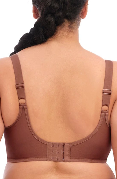 Elomi Smoothing Underwire Bra In Clove