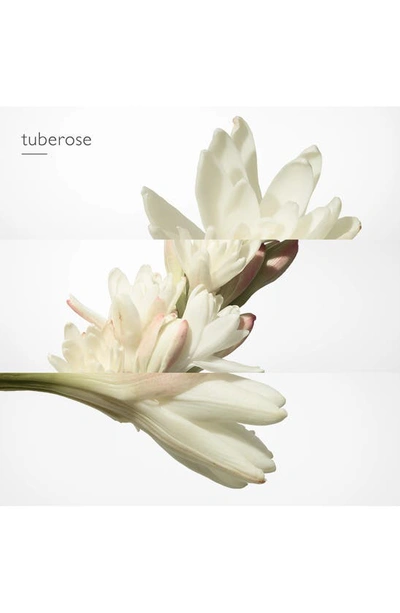 Hermes Terre D'hermès