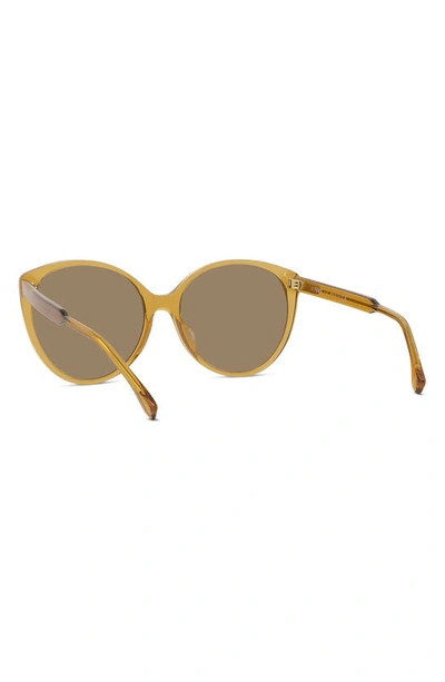 Shop Fendi Fine 59mm Cat Eye Sunglasses In Shiny Beige / Brown