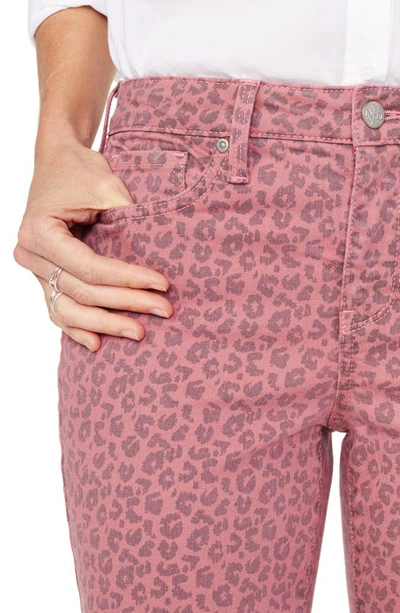 Shop Nydj Ami Ankle Skinny Jeans In Leopard Animal Wood Rose