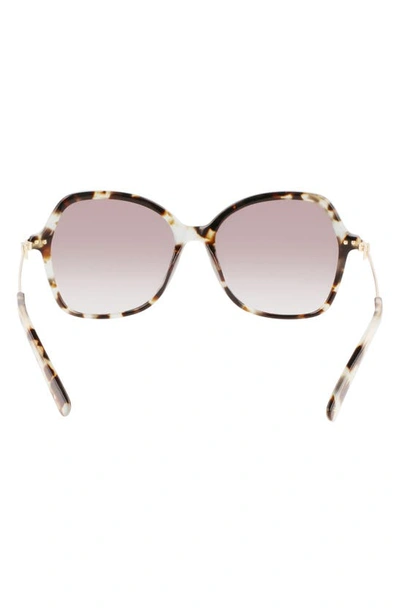 Shop Longchamp 57mm Amazone Modified Rectangle Sunglasses In Havana Aqua