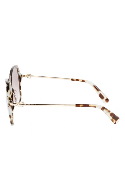 Shop Longchamp 57mm Amazone Modified Rectangle Sunglasses In Havana Aqua