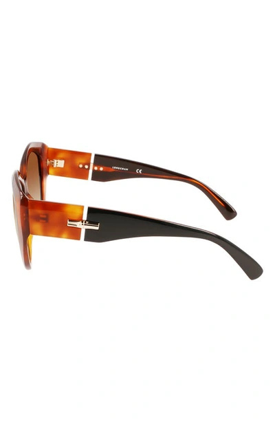 Shop Longchamp 57mm Roseau Tea Cup Sunglasses In Black/ Havana Honey