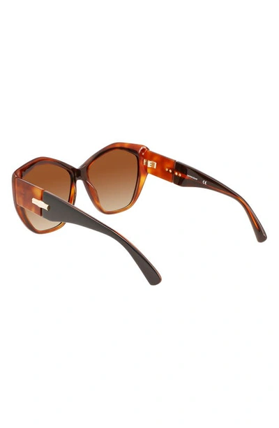 Shop Longchamp 57mm Roseau Tea Cup Sunglasses In Black/ Havana Honey