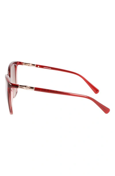 Shop Longchamp 56mm Roseau Tea Cup Sunglasses In Gradient Red Pink