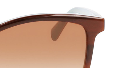 Shop Longchamp 57mm Le Pliage Tea Cup Sunglasses In Havana/ Azure