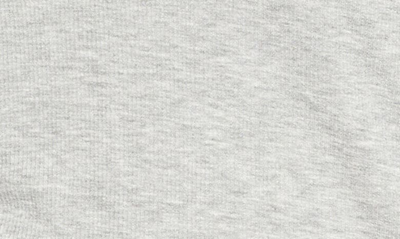 Splendid V-neck Long Sleeve T-shirt In Heather Grey