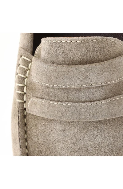 Shop Bruno Magli Xeleste Loafer In Taupe Suede