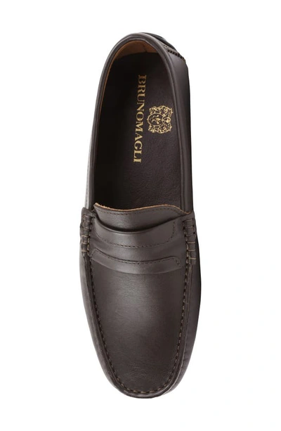 Shop Bruno Magli Xeleste Loafer In Dark Brown Leather