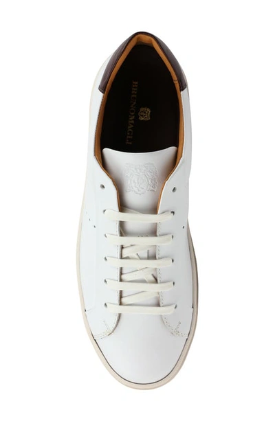 Shop Bruno Magli Dante Oxford Sneaker In White Calf