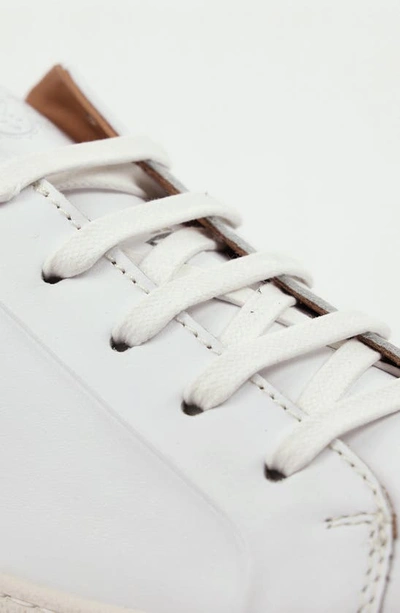 Shop Bruno Magli Dante Oxford Sneaker In White Calf