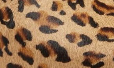 Shop Swedish Hasbeens Zip It Emy Clog Bootie In Leopard Print - Calf Hair