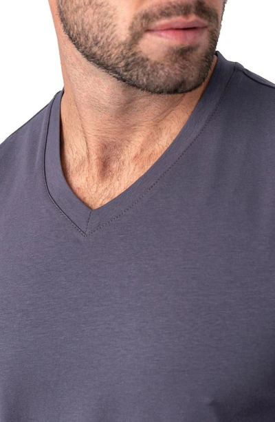 Shop Maceoo Vivaldicore V-neck Cotton T-shirt In Grey