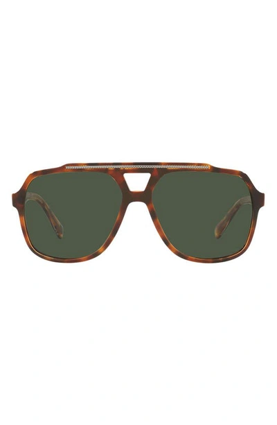 Shop Dolce & Gabbana 60mm Polarized Aviator Sunglasses In Brown Havana/ Green Polarized