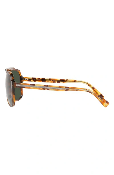 Shop Dolce & Gabbana 60mm Polarized Aviator Sunglasses In Brown Havana/ Green Polarized