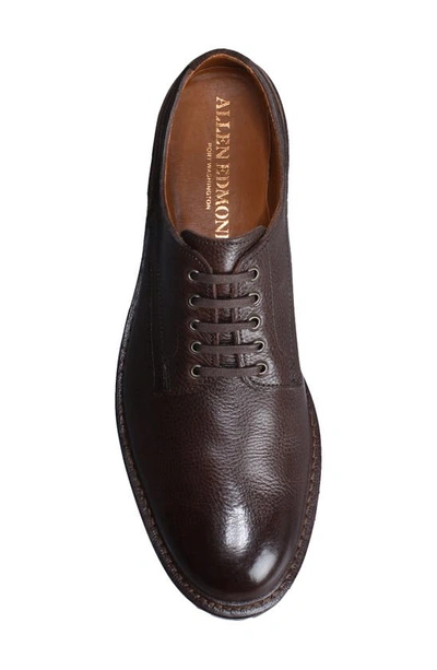 Shop Allen Edmonds Discovery Derby In Brown Leather