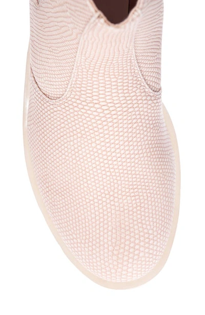Shop Dirty Laundry Margo Snake Embossed Chelsea Boot In Blush