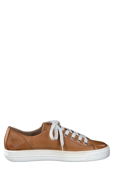 Paul Green Lacy Zip Leather Sneaker In Cuoio Washed Leather | ModeSens