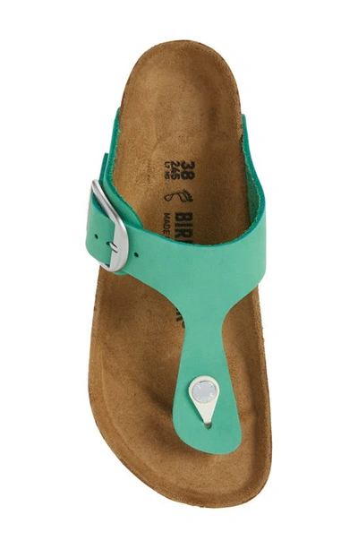 Shop Birkenstock Gizeh Big Buckle Slide Sandal In Bold Jade