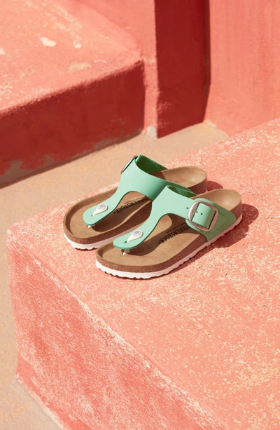 Shop Birkenstock Gizeh Big Buckle Slide Sandal In Bold Jade