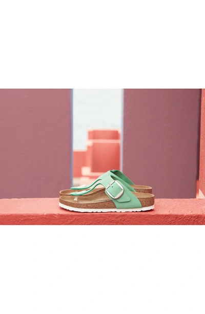 Shop Birkenstock Gizeh Big Buckle Slide Sandal In Bold Jade