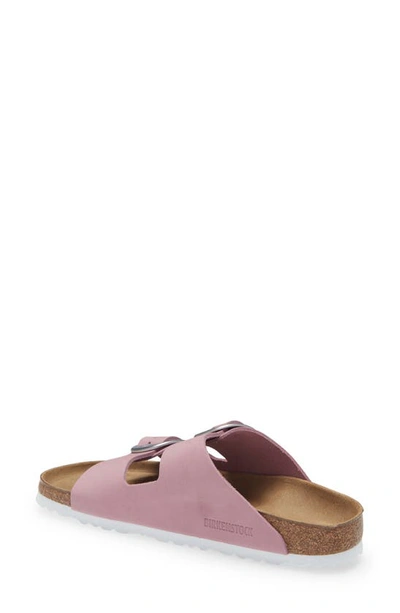 Shop Birkenstock Arizona Big Buckle Slide Sandal In Orchid