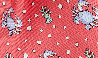 Vineyard Vines Kids' Crab Silk Tie In Raspberry