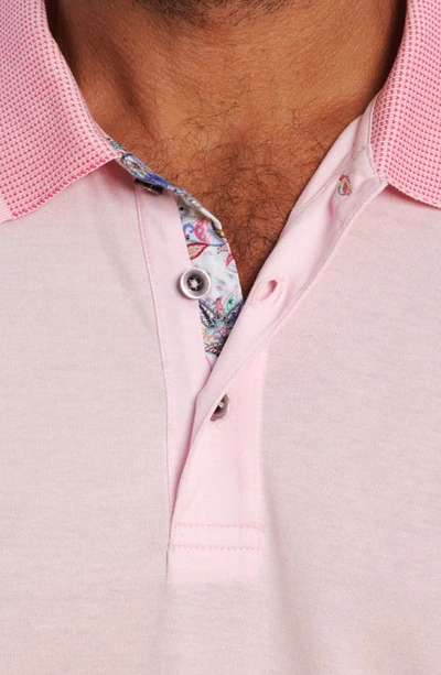 Shop Robert Graham Archie Short Sleeve Polo In Pink