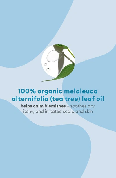 Shop Briogeo B. Well Organic + Australian 100% Tea Tree Oil