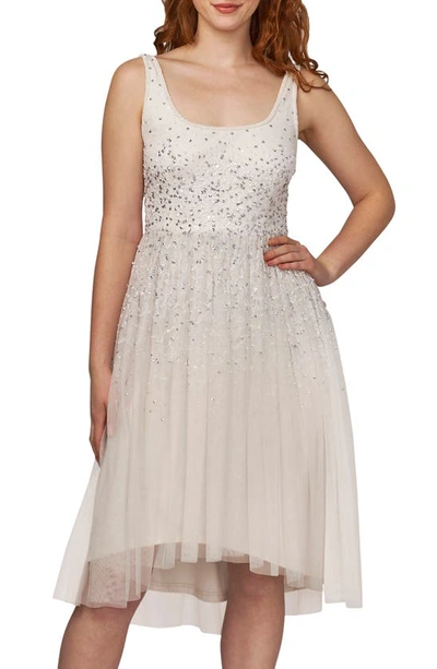 Shop Adrianna Papell Beaded Mesh Fit & Flare Dress In Ivory