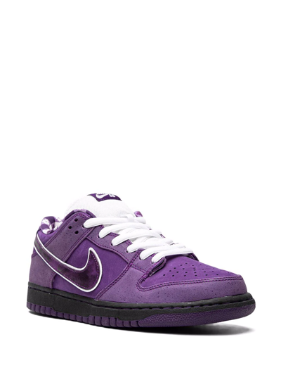 Nike Sb Dunk Low Pro Sneakers In Purple
