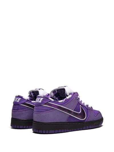 Nike Sb Dunk Low Pro Sneakers In Purple