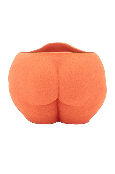 Shop Anissa Kermiche Popotelee Pot In Terracotta