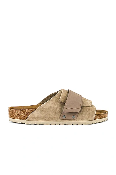 Shop Birkenstock Kyoto Suede In Gray Taupe