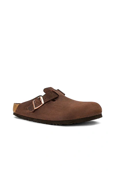 Birkenstock Boston Bs Narrow Leather Clog In Animal Print