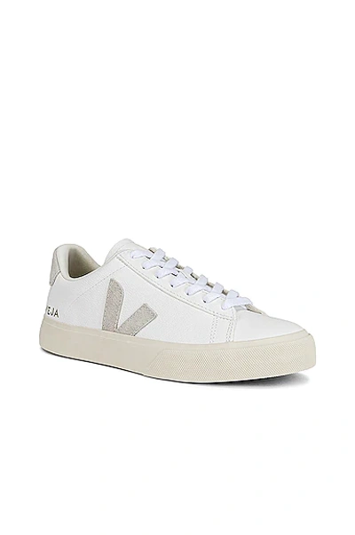 Shop Veja Campo Sneaker In Extra White Natural Suede