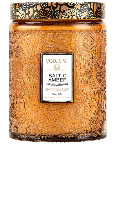Shop Voluspa Baltic Amber Large Jar Candle In Woody