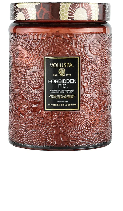 Shop Voluspa Forbidden Fig Large Jar Candle In Citrus & Fruity