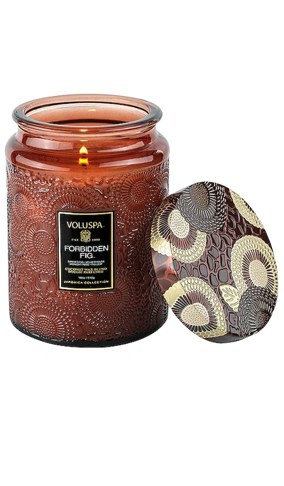 Shop Voluspa Forbidden Fig Large Jar Candle In Citrus & Fruity