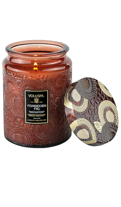 Voluspa Forbidden Fig Large Jar Candle 18 Oz. In Citrus & Fruity
