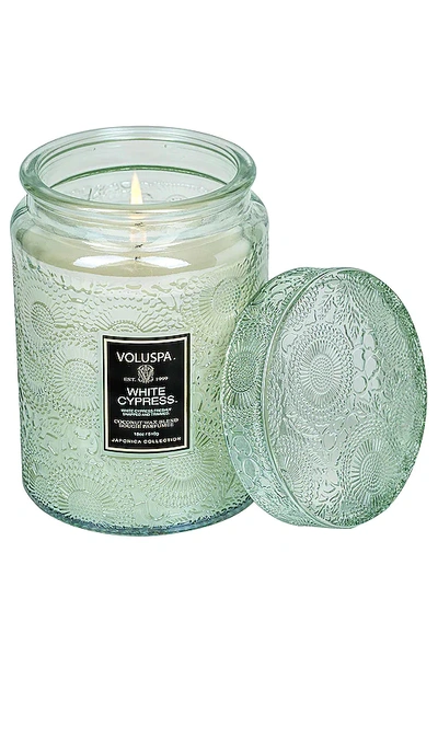 Shop Voluspa White Cypress Large Jar Candle In Woody