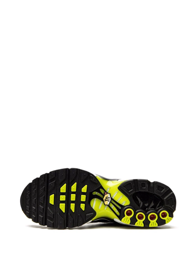 Nike Air Max Plus Low-top Sneakers In Black