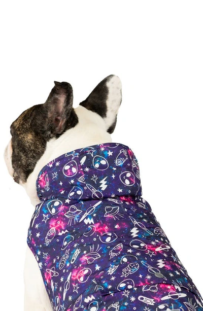 Shop Canada Pooch Pick Me Water Resistant Pet Poncho In Glow In The Dark