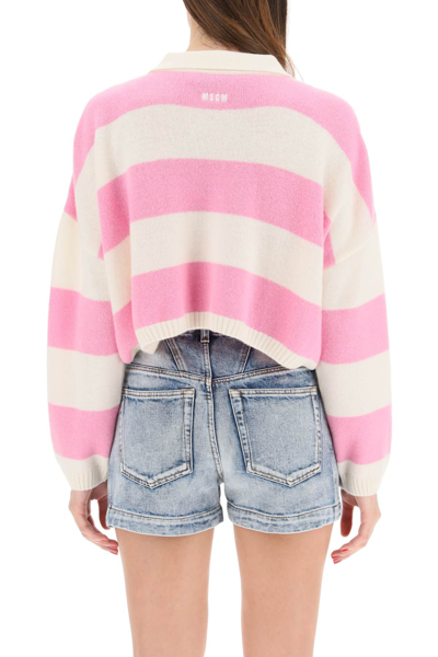 Shop Msgm Striped Boxy Knit Polo In Off White Pink (white)